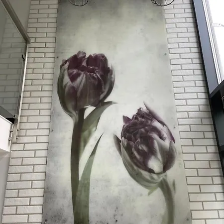 Lejlighed Apartament U Brygidy *